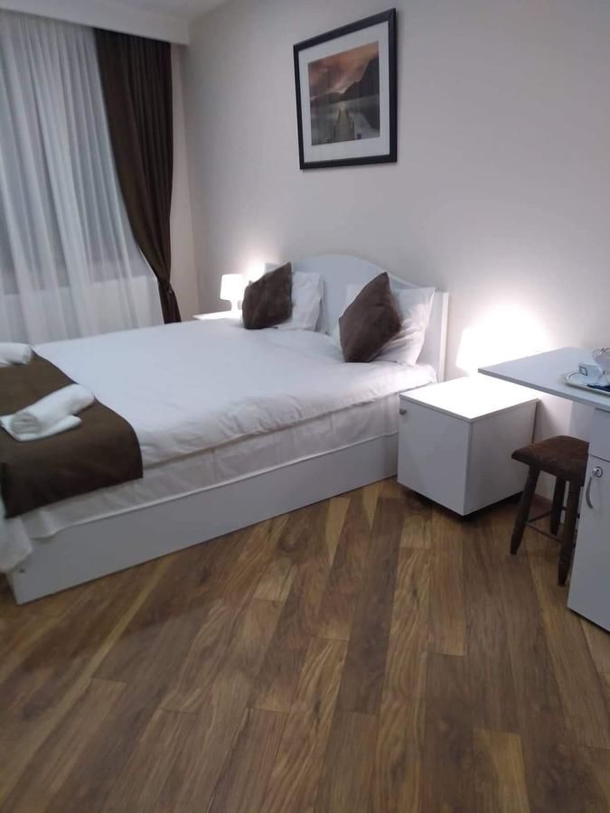Гостевой дом Luxury studio at Pirosmani 22 in central Borjomi Боржоми
