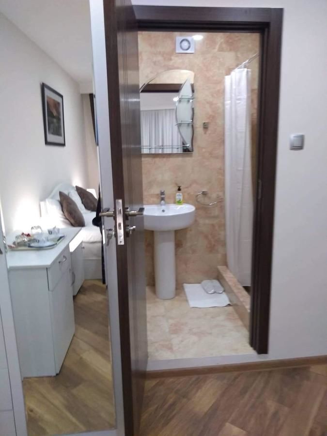 Гостевой дом Luxury studio at Pirosmani 22 in central Borjomi Боржоми