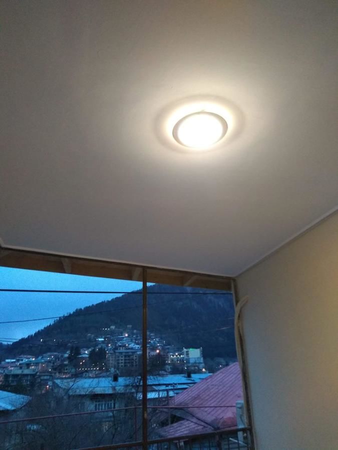 Гостевой дом Luxury studio at Pirosmani 22 in central Borjomi Боржоми