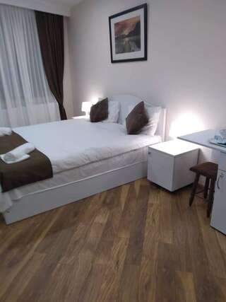 Гостевой дом Luxury studio at Pirosmani 22 in central Borjomi Боржоми Двухместный номер Делюкс с 1 кроватью и балконом-9
