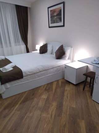 Гостевой дом Luxury studio at Pirosmani 22 in central Borjomi Боржоми Двухместный номер Делюкс с 1 кроватью и балконом-19