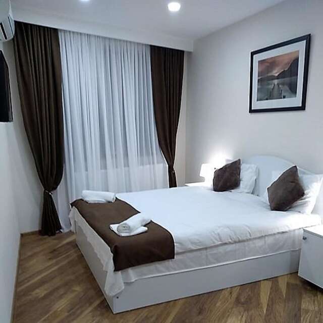 Гостевой дом Luxury studio at Pirosmani 22 in central Borjomi Боржоми-3
