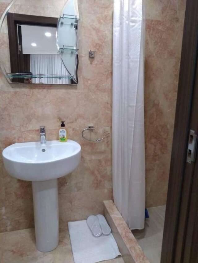 Гостевой дом Luxury studio at Pirosmani 22 in central Borjomi Боржоми-30