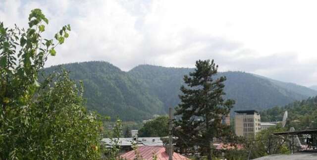 Гостевой дом Luxury studio at Pirosmani 22 in central Borjomi Боржоми-5